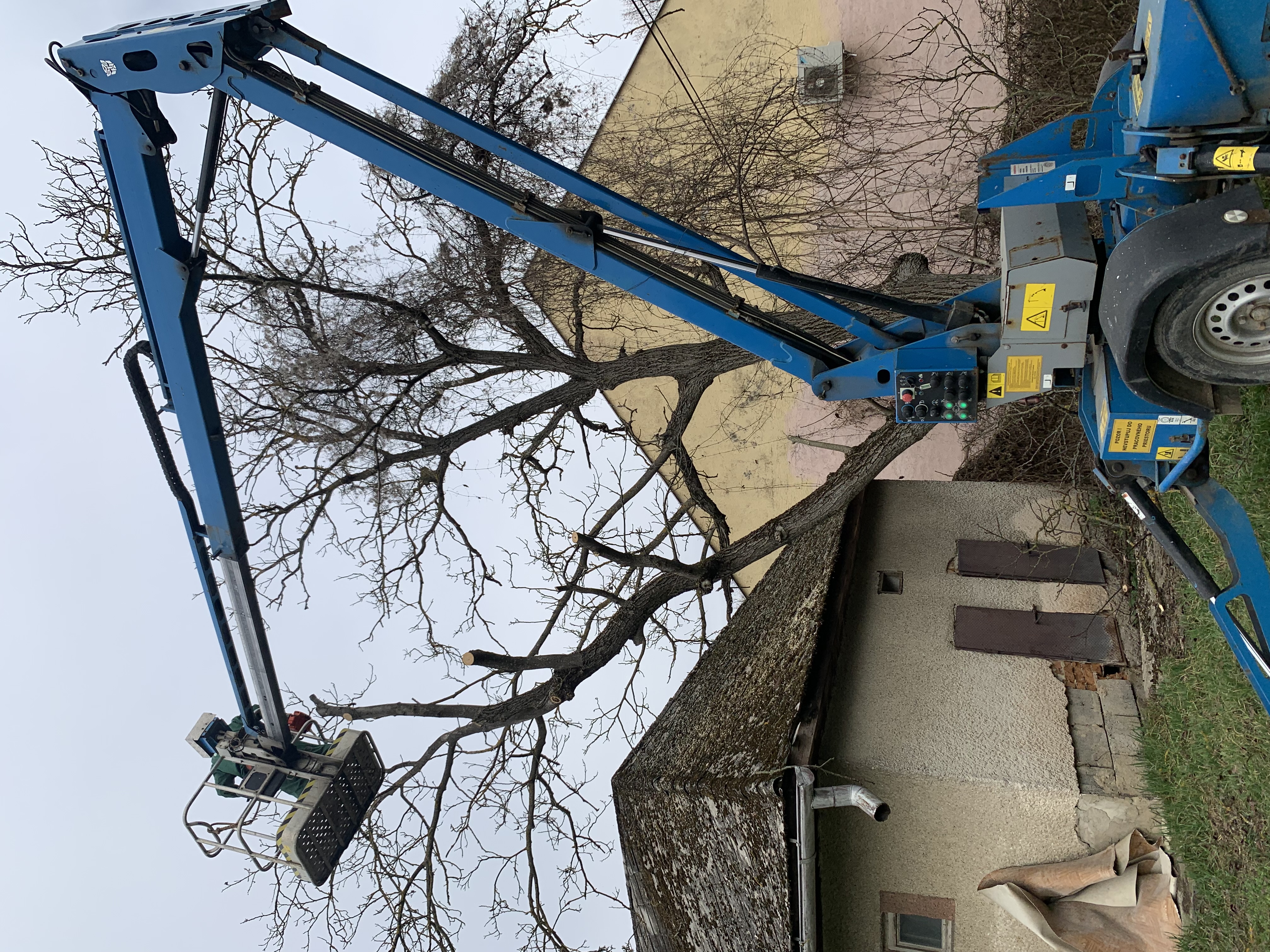 Orezávanie stromov pomocou plošiny